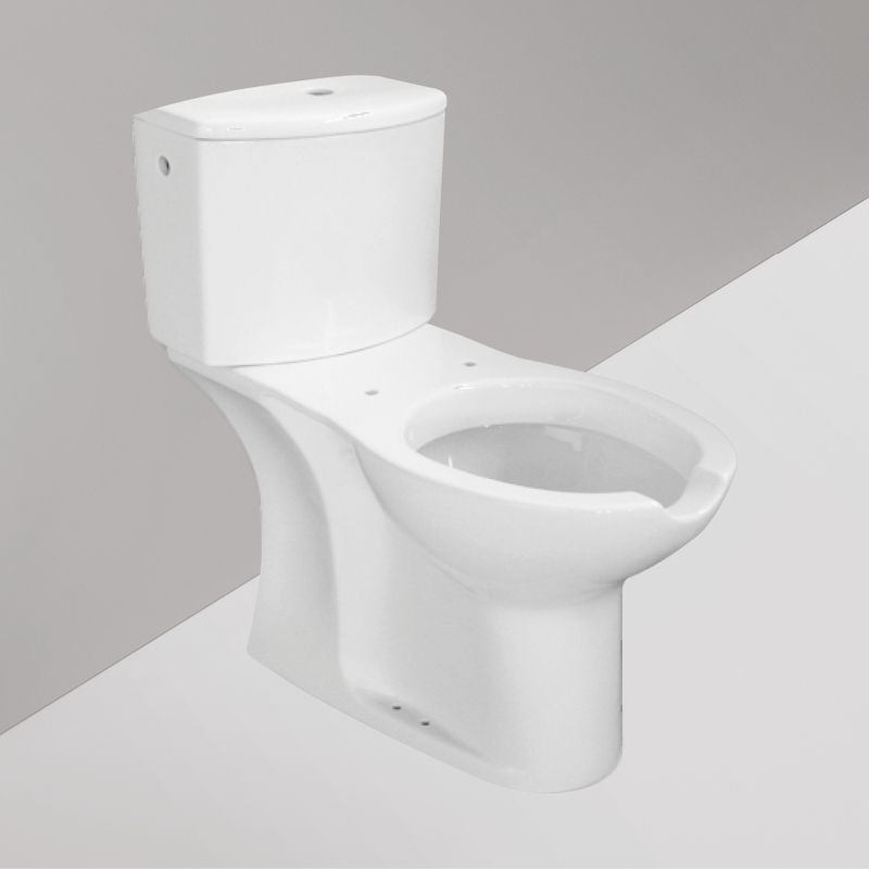 Ceramica Dolomite - D602701 - Close-coupled toilet-bidet with universal floor outlet – True
